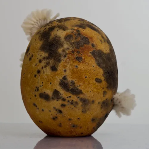 Fire Potatoid