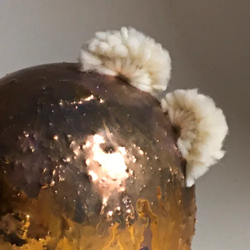 Gold Potatoid 2 dc