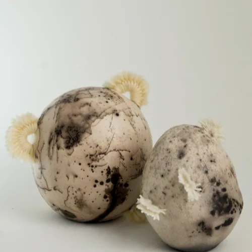 white saggar potatoids 1 y 2