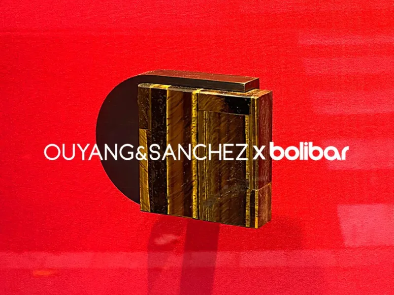 colaboracion_ouyang-sanchez02