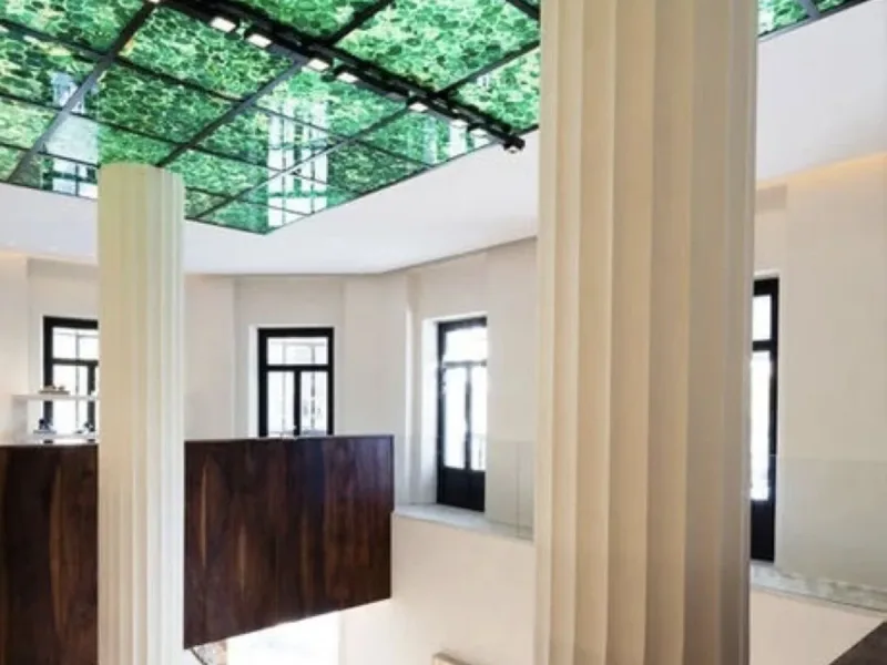 colaboracion_ouyang-sanchez05